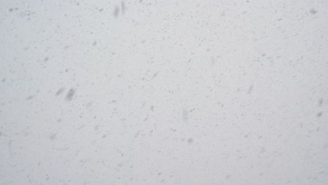 雪が降る