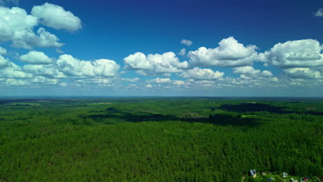 paisaje forestal con lagos y cielos azules claros