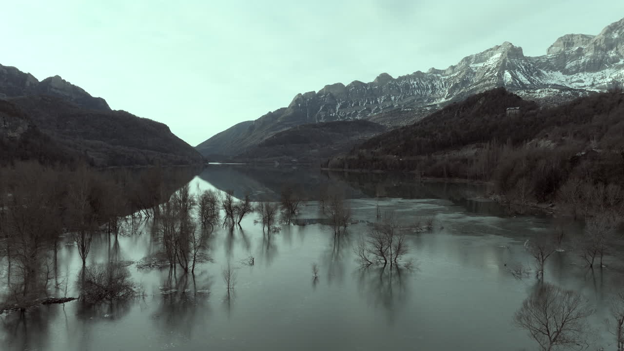 Frozen Alpine Lake with Bare Trees and Snowy Mountains
