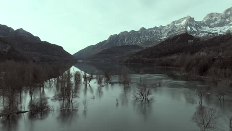 frozen alpine lake with bare trees and snowy mountains