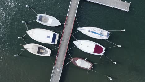 drone tracking shot of some boats in a small harbor on the australian coast, no people, daylight, sunny day