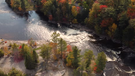 A-meandering-river-flows-between-the-trees.