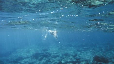 在希臘的伊奧尼海 (ionian sea) 潛水,在希臘的基法洛尼亞 (kefalonia) 島