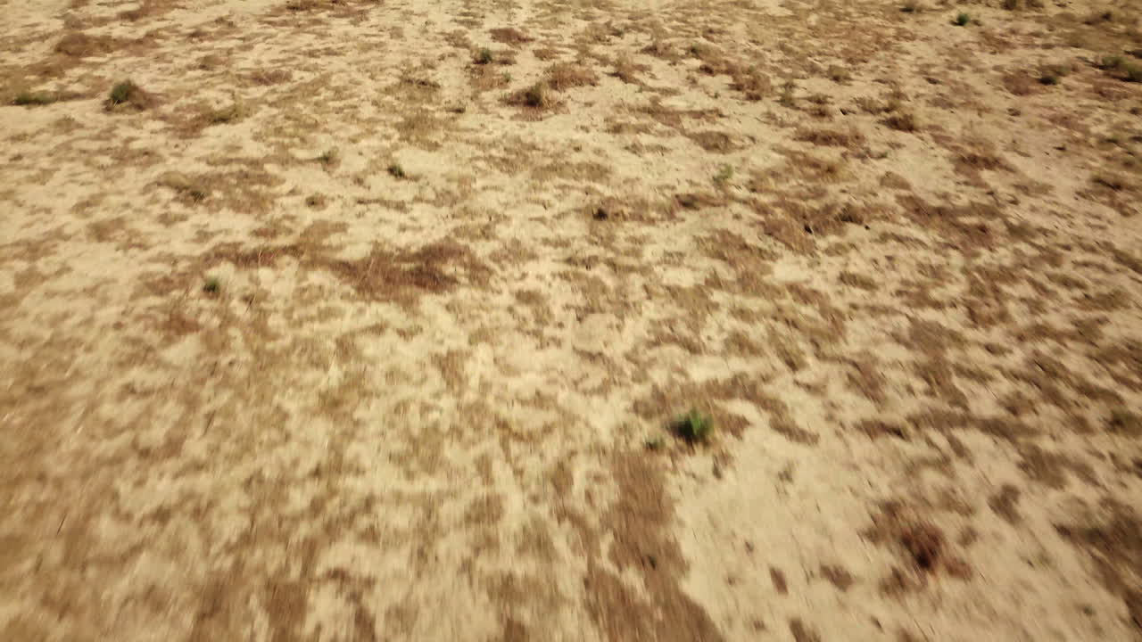 일출 시 실루엣 버트를 향해 조슈아 트리 모하비 사막 풍경을 지나 비행