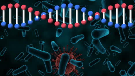 animación de la cadena de adn que gira sobre las células sanguíneas
