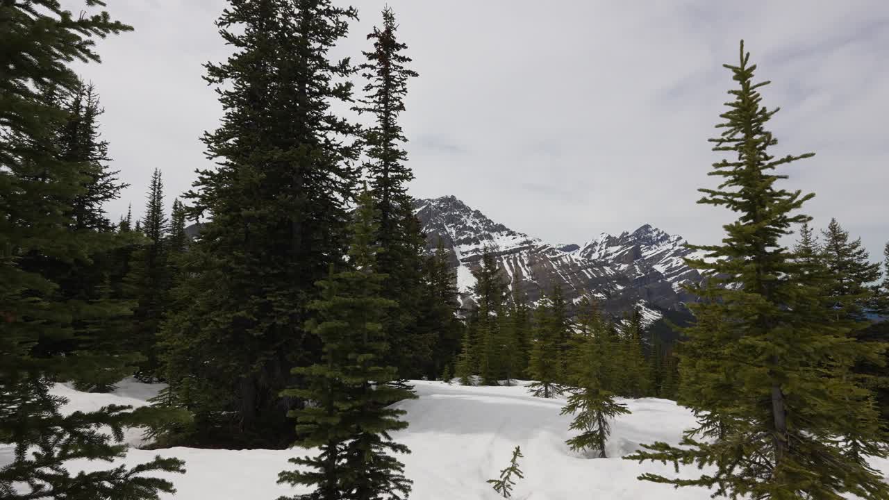 Neve che copre una foresta sempreverde con montagne sotto un cielo nuvoloso nel Parco Nazionale di Banff, Canada