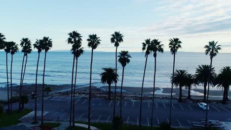 empty beachfront lot and calm sea framed by slender palm trees at peaceful dusk