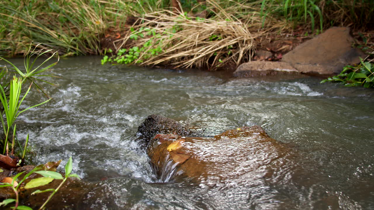 el agua fluye sobre la piedra en el arroyo de waikomo en kauai en cámara lenta
