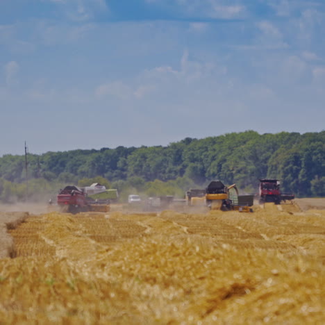 Ripe wheat field and blue sky with clouds. Heavy machinery gathering ripe wheat. Agricultural concept. Rural landscape. Wheat meadow.