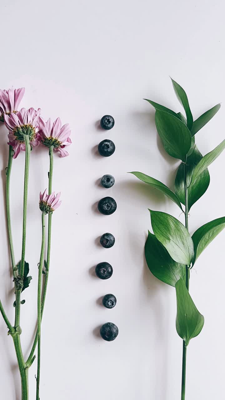 naturaleza floral muerta con arándanos