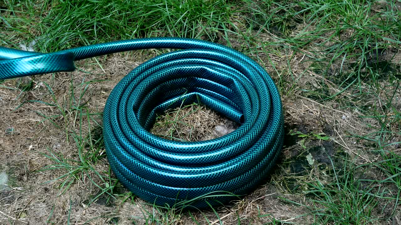 Home gardening. New green rubber hose, which lies in the backyard.