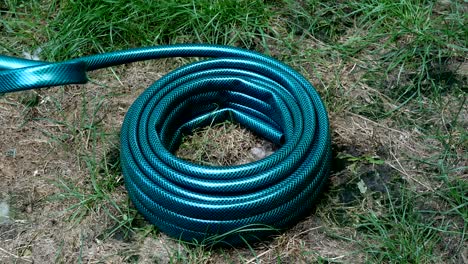 home gardening. new green rubber hose, which lies in the backyard.