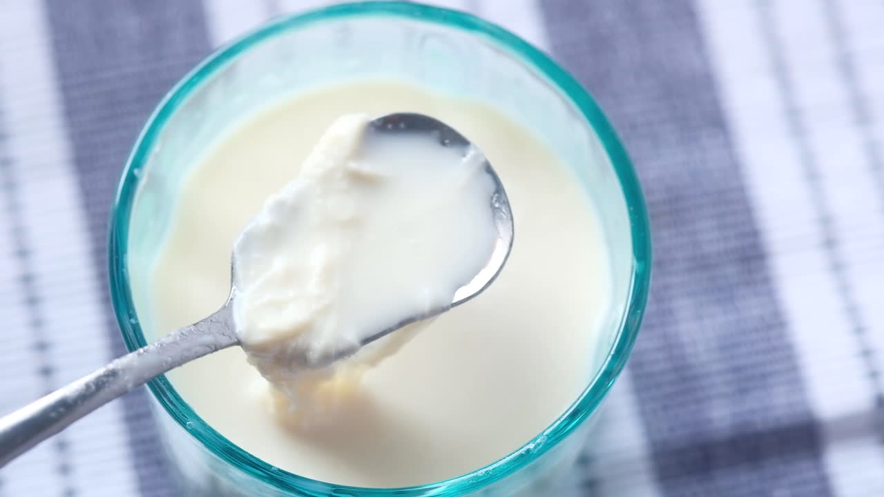 Homemade Yogurt in a Glass with Spoon