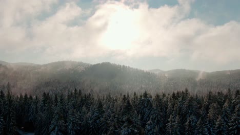 Drohnenschuss-über-Einem-Dorf-Im-Wald