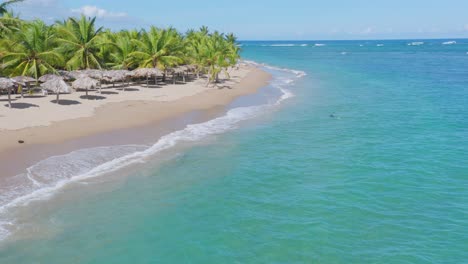 toma aérea desde atrás en las hermosas playas de nagua, provincia de maria trinidad sánchez, agua azul turquesa, día soleado