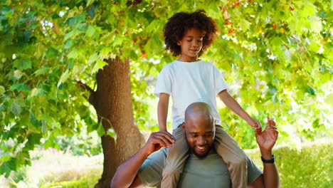 father and son in summer garden with boy riding on dads shoulders