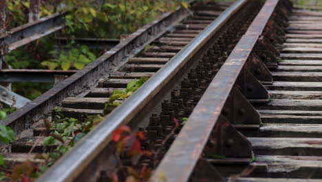 railway with wooden sleepers - close up view 2