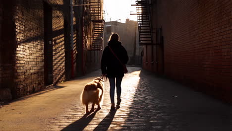 woman walking dog in alley