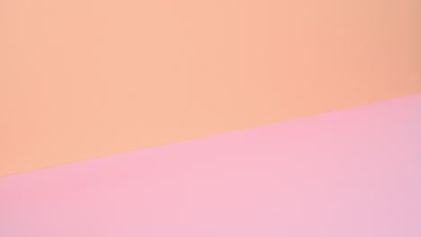 hardcover books in various colors appear on bottom of pink orange theme. stop motion