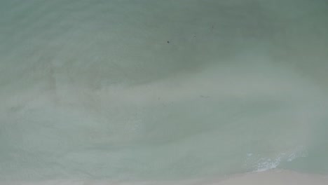 directly above view of playa del carmen beach, quintana too, mexico