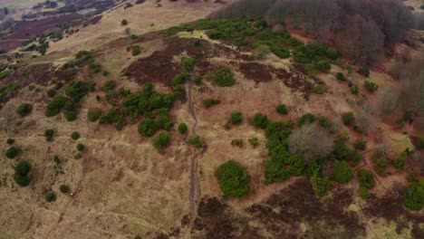 Toma-Aerea-De-Un-Hermoso-Bosque