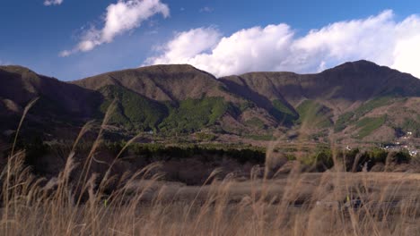 beautiful nature scenery with waving grass, mountains and blue cloudy sky