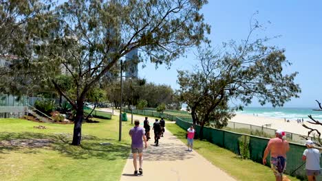 people walking on a sunny beachside path