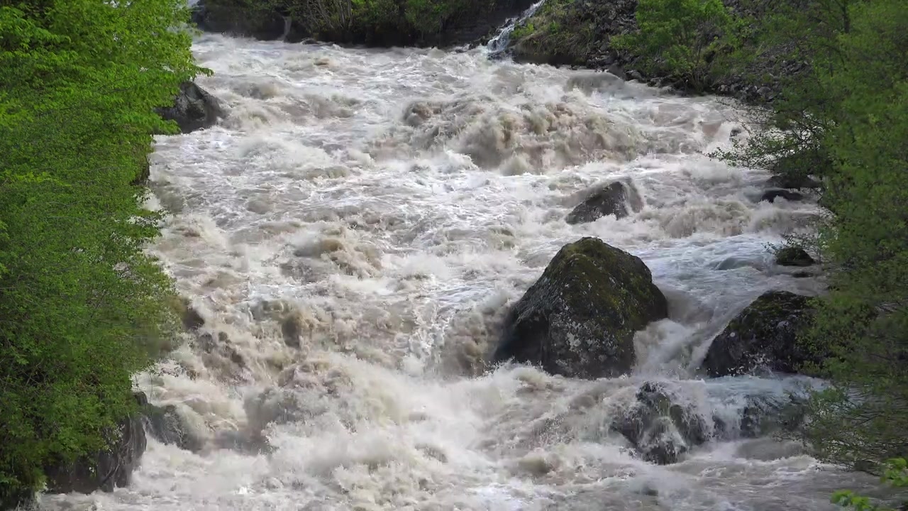 Rushing River Water Flowing Over Rocks in a Forest