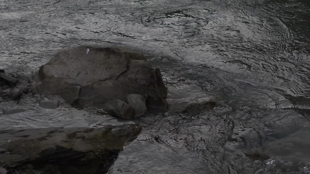 In Doftana Valley Romania we found a beautiful river with flowing fresh water.