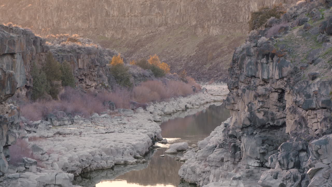 2022년 봄 가마솥 린 영상