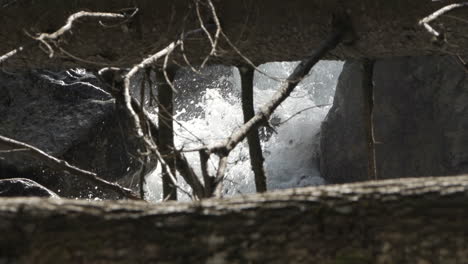 Closed-frame-of-how-the-water-comes-out-between-the-rocks-and-fallen-trees