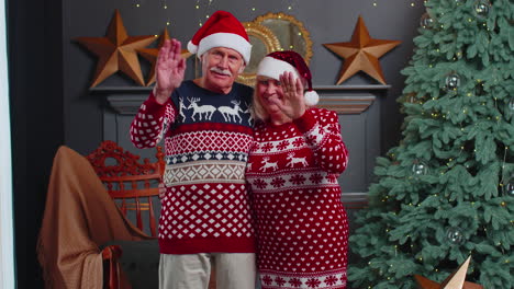 Happy-senior-Christmas-family-smiling-friendly-at-camera-and-waving-hands-gesturing-hello-or-goodbye