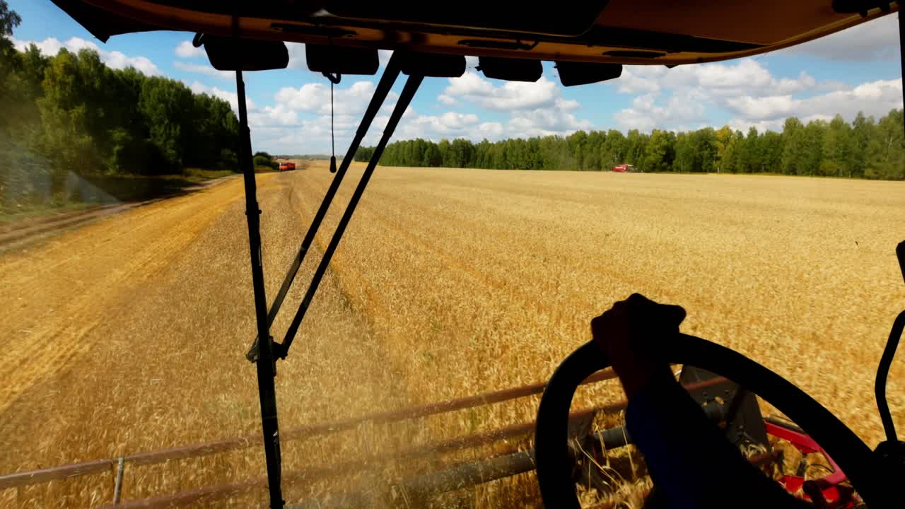 Combine Harvester in a Golden Wheat Field