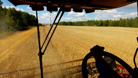combine harvester in a golden wheat field