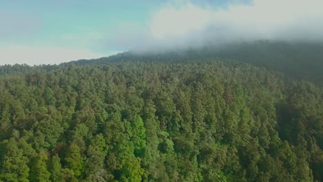 Vorwärts-Drohnenaufnahmen-Des-Waldes-Mit-Wolken