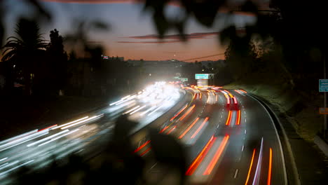 un lapso de tiempo del tráfico de la autopista al atardecer con follaje en primer plano