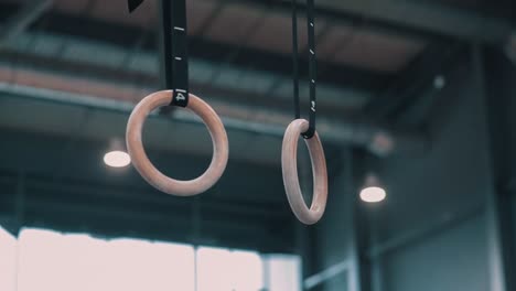 gymnastic rings hanging