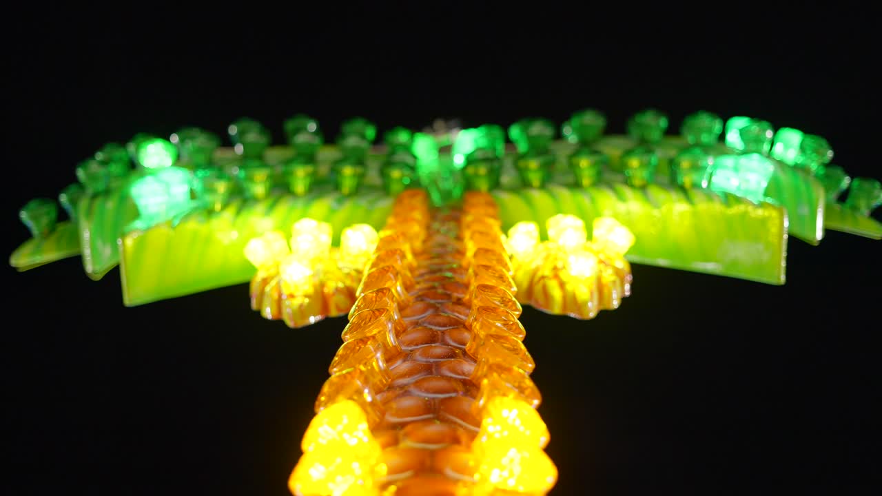 Illuminated Palm Tree Ride at Night