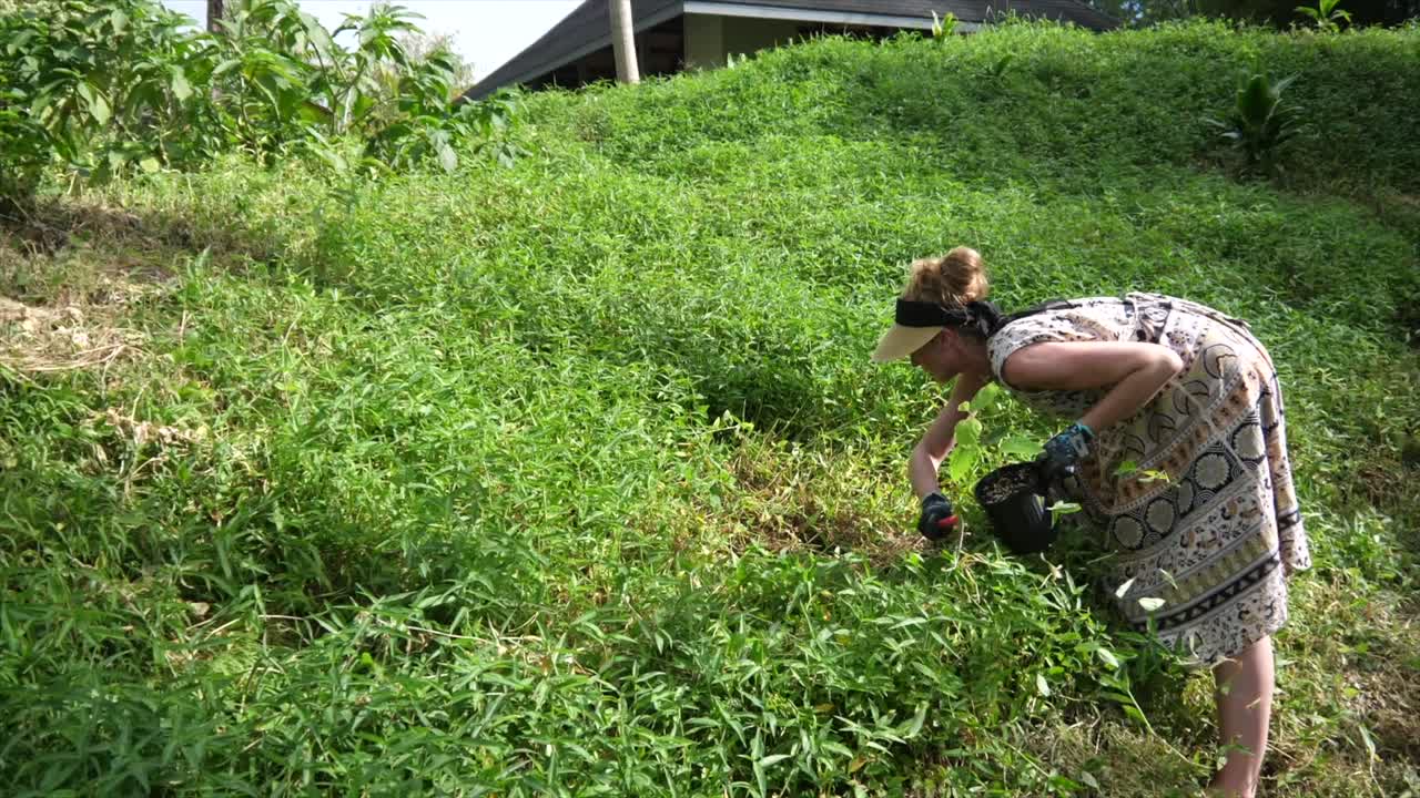 젊은 여성 이 열대 정원 에서 식물 을 위한 공간 을 청소 하는 일