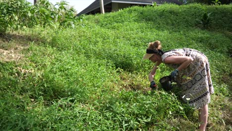 Young-woman-works-to-clear-space-for-a-plant-in-a-tropical-garden