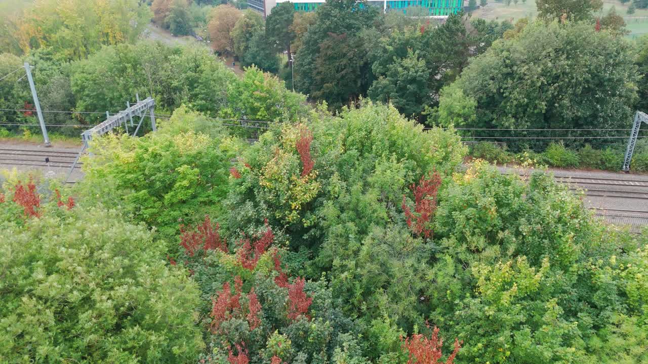 An aerial view of railway tracks amidst greenery with adjacent road and cars, under an overcast sky.