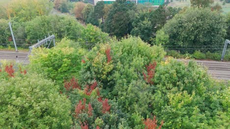 an aerial view of railway tracks amidst greenery with adjacent road and cars, under an overcast sky.