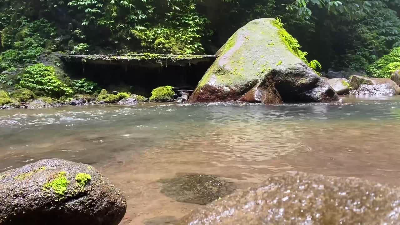 Flowing Stream of Water with Rocks in a Forest in Bali, Indonesia. Low Angle View.