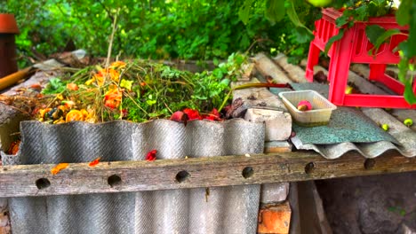 colorful compost bin with kitchen scraps and wasps exploring the composting waste