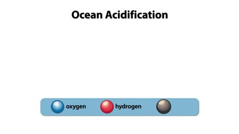 visualizing molecular changes in ocean acidification