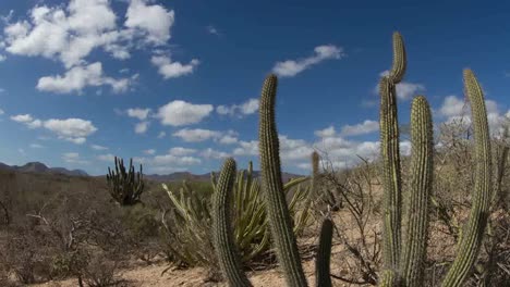 baja desierto 01