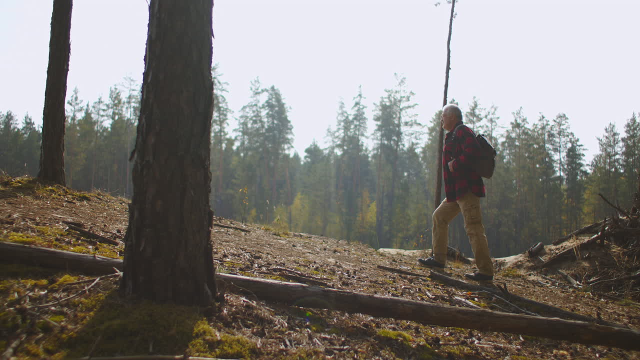 el excursionista está caminando por el bosque y mirando el pintoresco paisaje de bosques y ríos en un soleado día de otoño