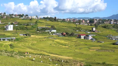 尼泊爾的喜馬拉雅山<unk>的背景上有一座小鎮