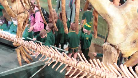 kids observing dinosaur skeleton at melbourne museum