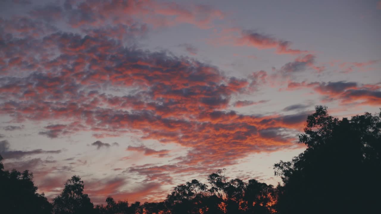 hermosas nubes rojas ardientes en el cielo púrpura sobre los árboles -ancho